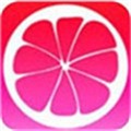 蜜柚app下载汅api免费