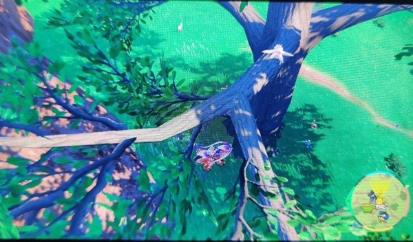 《宝可梦朱紫》懒人獭捕捉位置