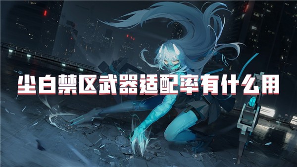 尘白禁区武器适配率有什么用