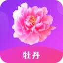 夜爱直播播放器下载大全