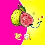 忘忧草在线观看视频最新版