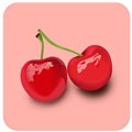 冈本app安装下载