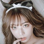草木视频在线观看免费版