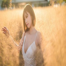 非会员试看60秒体验福利：深度解读背后的吸引力与应用前景